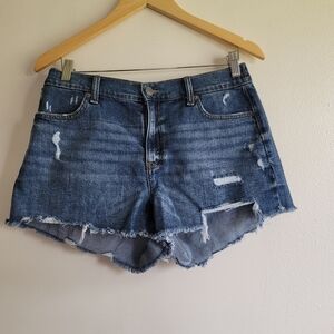 Aerie, Distressed Daydream Denim Short in‎ Rocky Blue, Size Medium